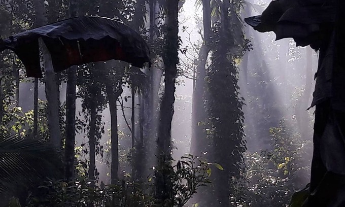 Kolagappara Bed & Breakfast | Wayanad Stay .die Pfeffersuite
