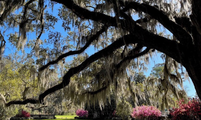 Georgetown Kabine | Wedgefield Country Club