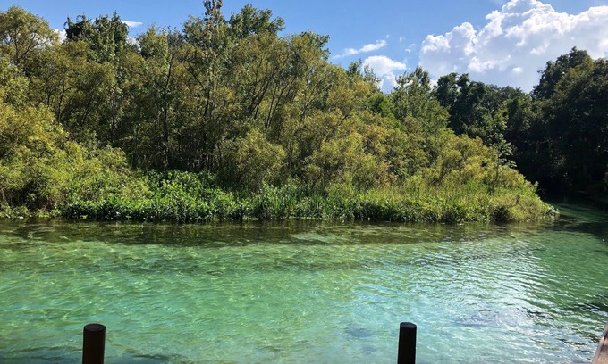 Spring Hill Haus | Weeki Wachee MAIN RIVER