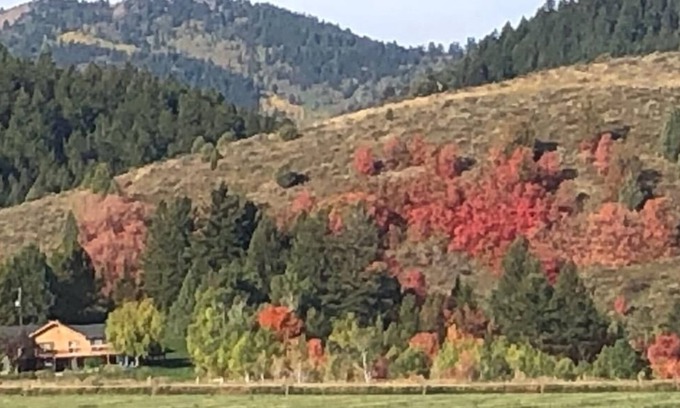 Bancroft Kabine | Mountain Family Cabin in der Nähe von Lava Hot Springs