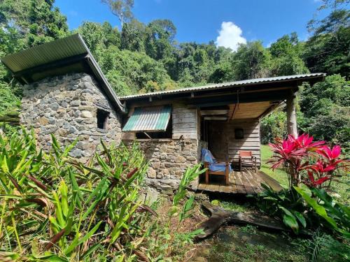 Cape Tribulation Haus | Where The Forest Meets The Sea