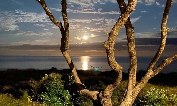 Whiritoa Haus | Whiritoa At Its Best