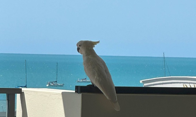 Airlie Beach Wohnung | Whisper Bay Mirage Resort 3 bdrm apartment.