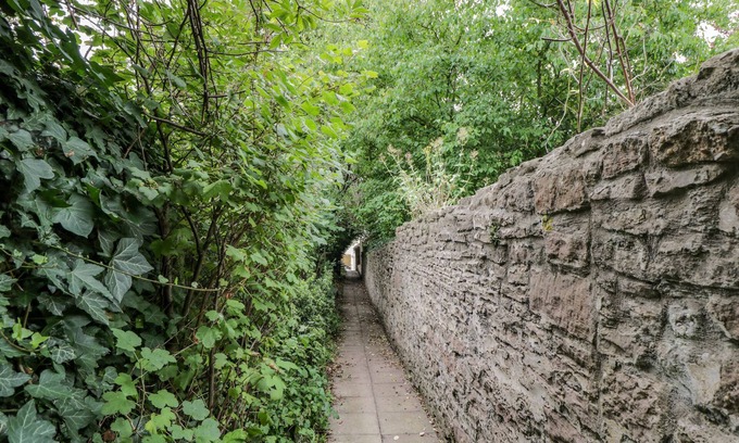 Whitchurch Hütte | White Roses