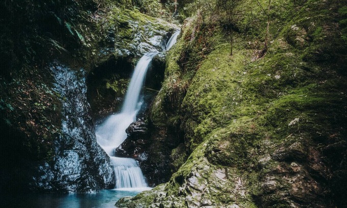 Colville Haus | Retro Kiwi-Wohnwagen @ Colville Farm Holidays