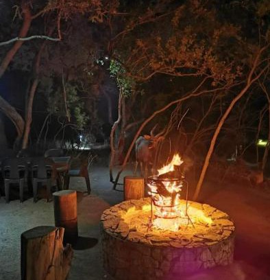 Kareeberg Sonstige | Wildland Safaris