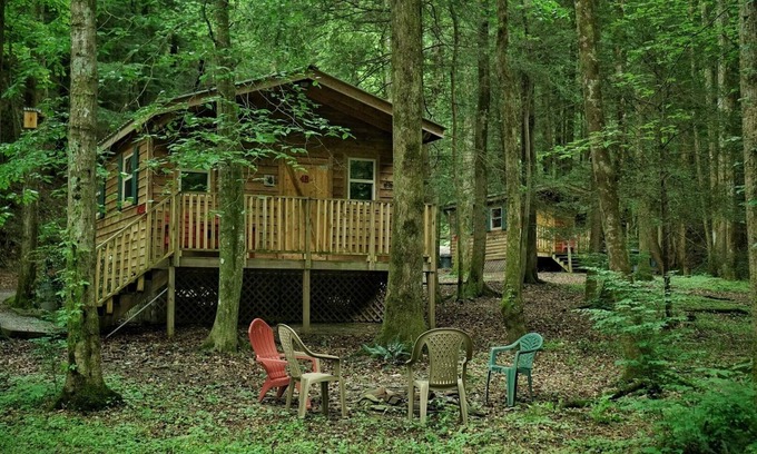 Ellijay Kabine | With a king sized bed BEAR'S LAIR gives comfort of home plus an outdoorsy vibe!