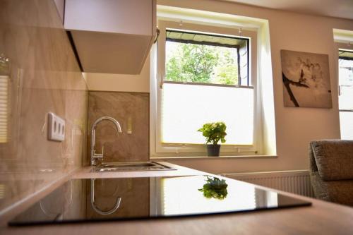 Gottschied Wohnung | Wohnung mit Wohlfühlcharakter