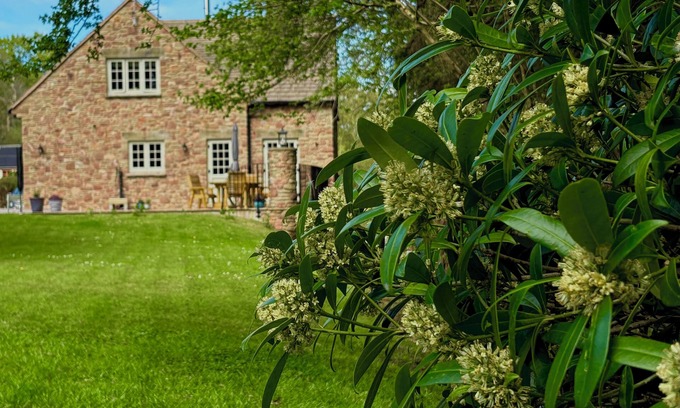 Coleford Hütte | Woodland edge retreat, with wood burning stove.