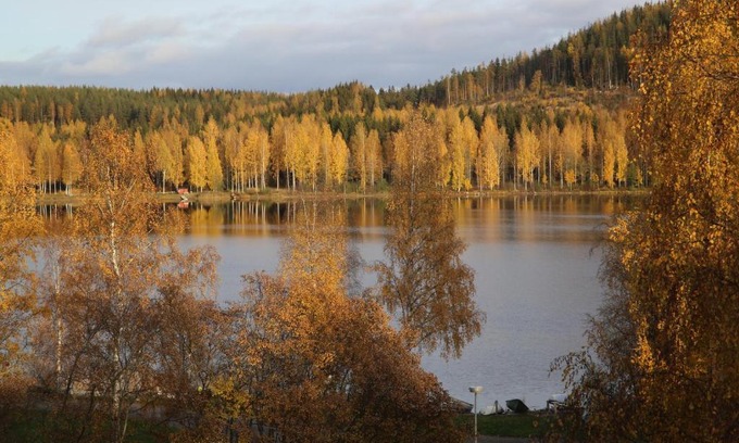 Aanekoski Wohnung | Yksiö Järvimaisemalla