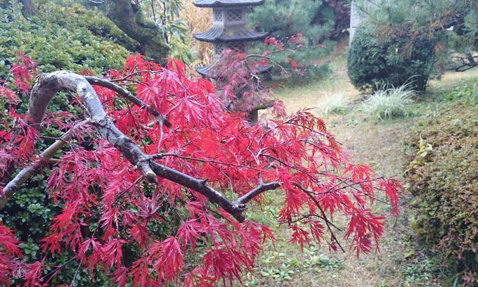 Higashiibaraki-gun Haus | Yusenso