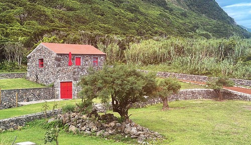 Junior-Haus