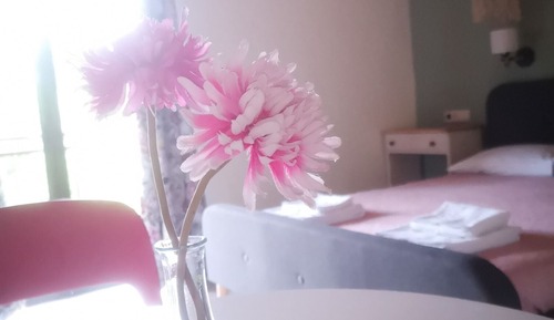 Traditional-Apartment