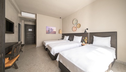 Basic-Dreibettzimmer