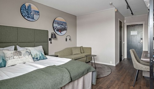 Standardzimmer, 1 Queen-Bett, Nichtraucher (with Sofabed)