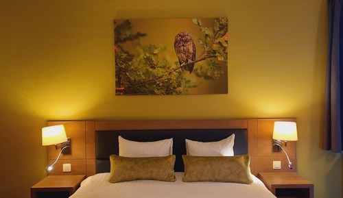 Comfort-Doppel- oder -Zweibettzimmer