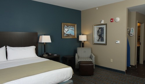 Suite, 1 King-Bett und Schlafsofa, barrierefrei (Mobility Tub)