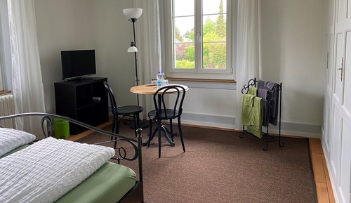 Standard-Doppelzimmer (Aare)