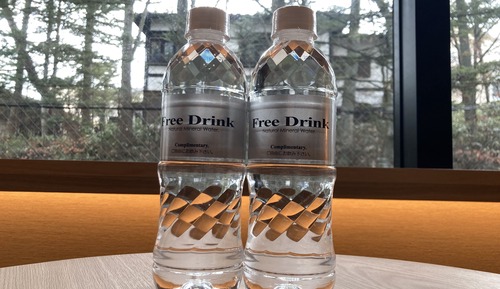 Basic-Zweibettzimmer, Nichtraucher (Japanese Western, with Shower booth)