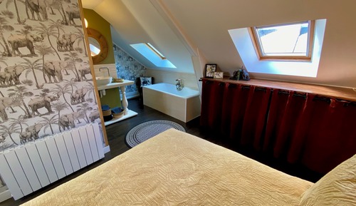 City-Suite, Stadtblick (Jungle)