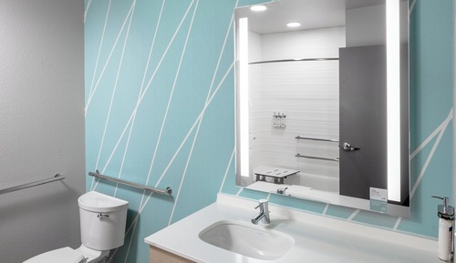 Standardzimmer, 1 King-Bett, barrierefrei (Mobility, Roll-In Shower)