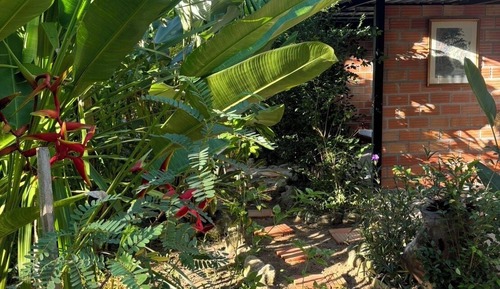 Superior-Zimmer, 1 Schlafzimmer, Hügelblick