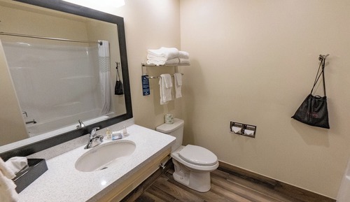 Suite, 1 King-Bett, Nichtraucher (Whirlpool with Audible/Visual Alert)