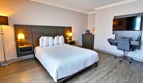 Superior-Zimmer, 1 Queen-Bett und Schlafsofa
