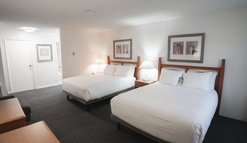 Superior-Studio, 2 Queen-Betten