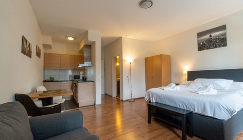 Deluxe-Studio, 1 Queen-Bett, Nichtraucher, Stadtblick