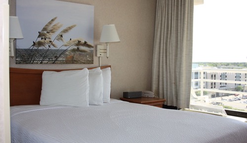 Suite, 1 Queen-Bett und Schlafsofa