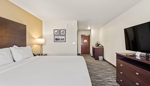 Zimmer, Nichtraucher (Single King Guestroom)