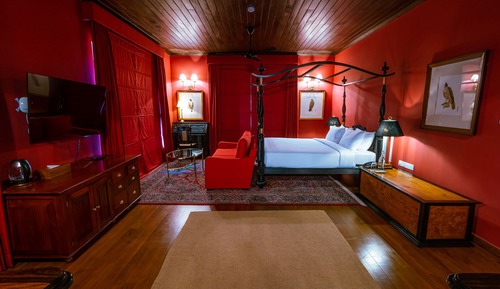 Luxury-Suite