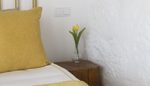 Traditional-Doppelzimmer, Blick auf den Weinberg