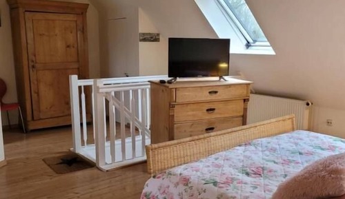 Classic-Apartment