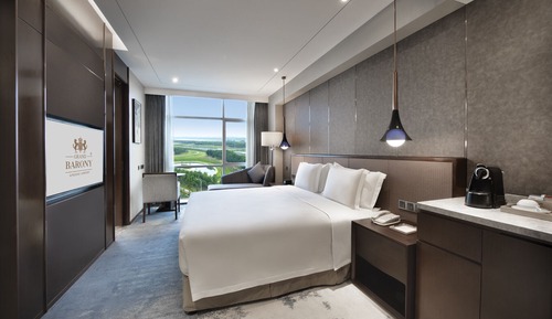 Basic-Einzelzimmer, Stadtblick