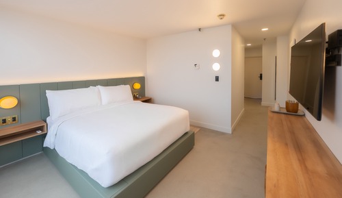 Deluxe Single Queen Room