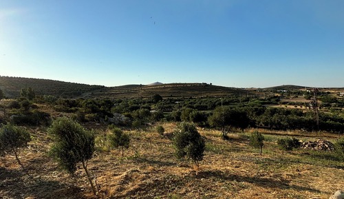 Standard Room, Hill View