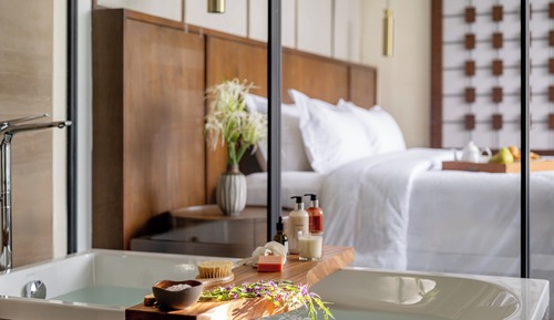 Suite, 2 Schlafzimmer (SuiteZ with Plunge Pool)