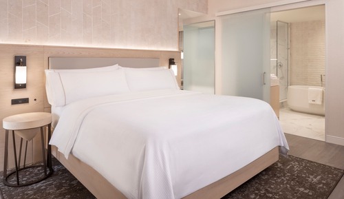 Executive-Suite, 1 King-Bett und Schlafsofa