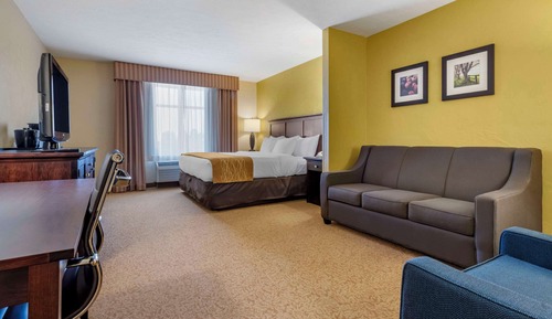 Suite, 1 King-Bett und Schlafsofa, Nichtraucher (Large Room)