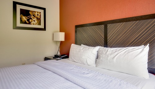 Suite, barrierefrei, Badewanne