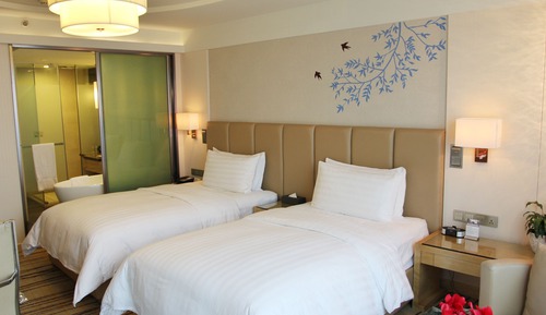 Superior-Zimmer, 2 Einzelbetten, Executive-Etage