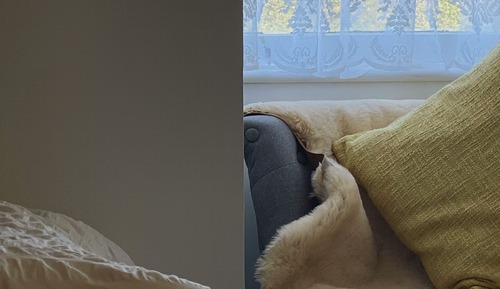 Standardzimmer, 2 Einzelbetten (Eliza)