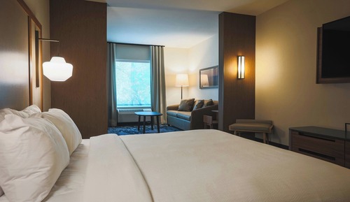 Suite, 1 King-Bett und Schlafsofa, Nichtraucher, eingeschränkter Seeblick