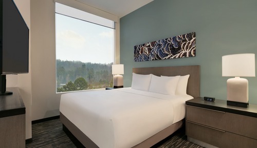 Studiosuite, 1 King-Bett und Schlafsofa, barrierefrei, Badewanne (Kitchen, Shower)