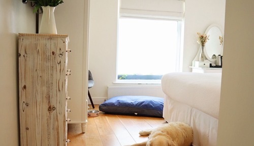 Doppel- oder Zweibettzimmer, mit Bad, Blick auf den Innenhof (Pet Friendly Double/Twin)