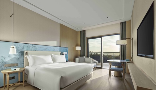 Deluxe-Suite, 1 King-Bett