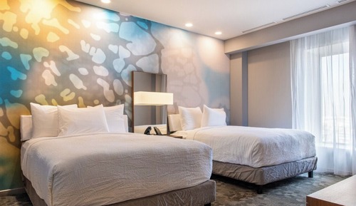 Suite, 1 Schlafzimmer