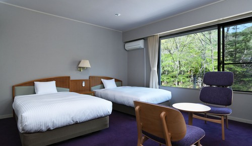 Superior-Zweibettzimmer, Nichtraucher